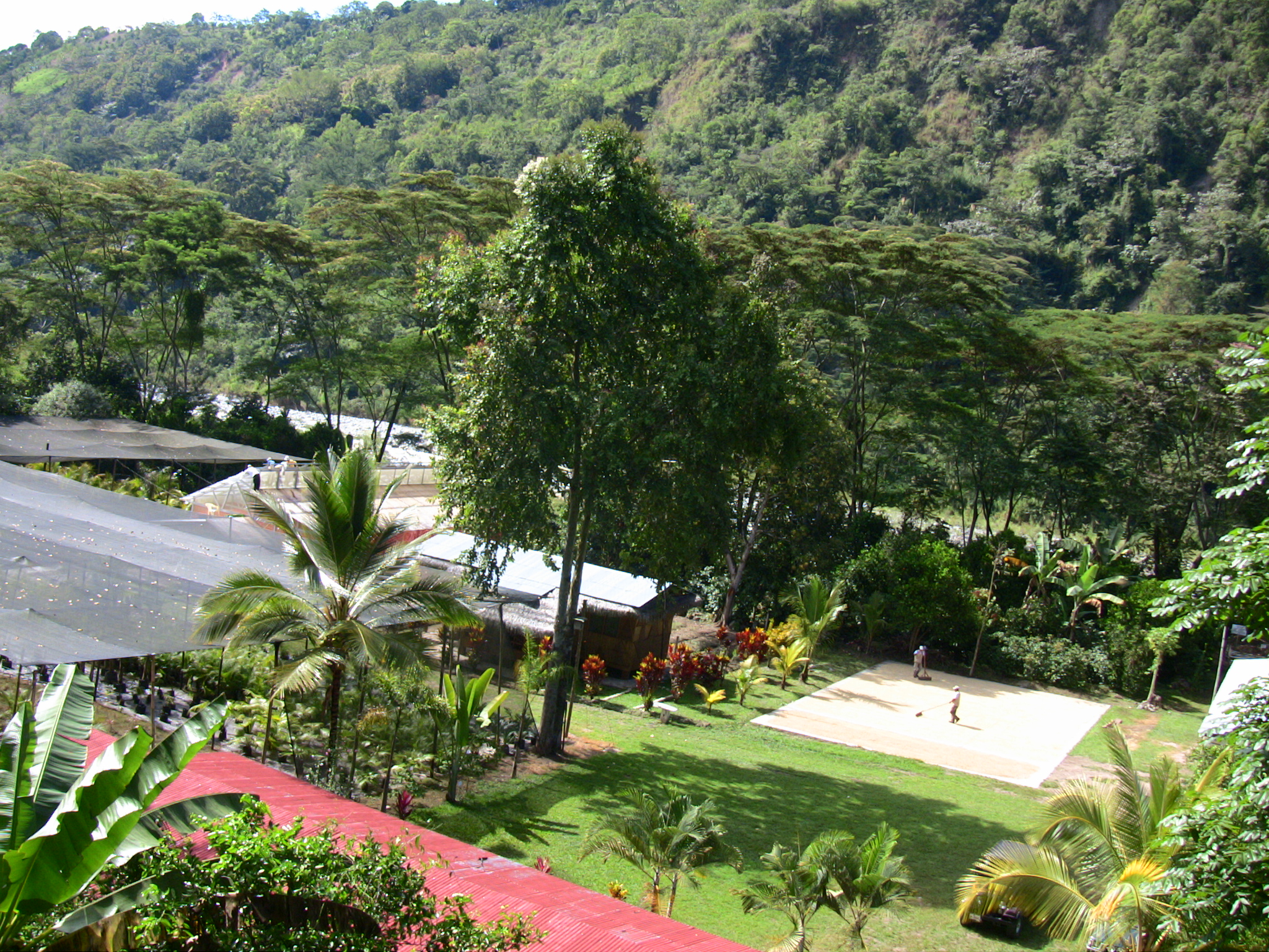 Aprodes en Selva Central