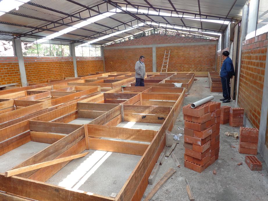 Implementacion del galpon de cuyes en Anccapa
