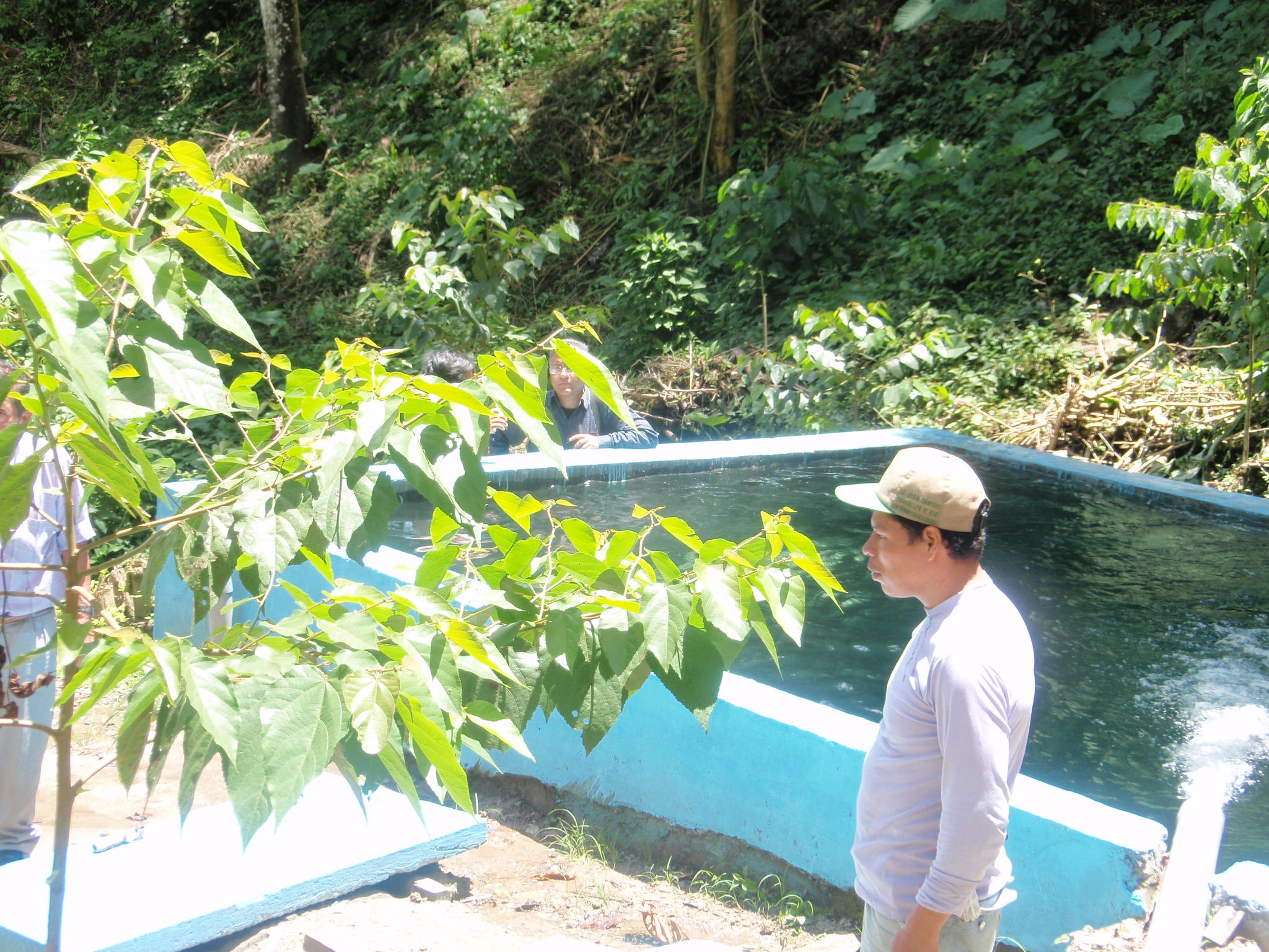 Recogida agua en cabecera